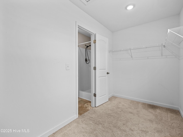 spacious closet with carpet floors