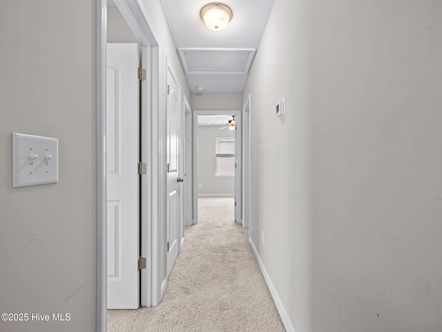 hallway featuring attic access, baseboards, and carpet flooring