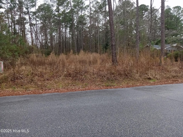 510 E Oliver St Unit 1, Whiteville NC, 28472 land for sale