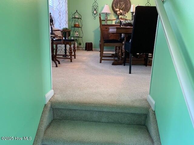 staircase with carpet