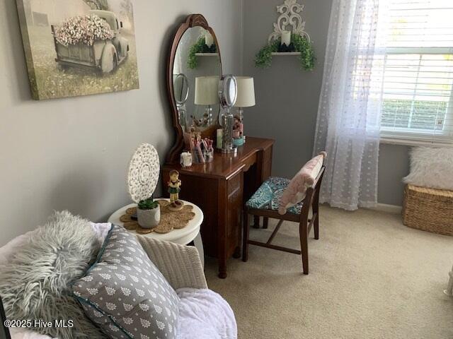 sitting room with carpet