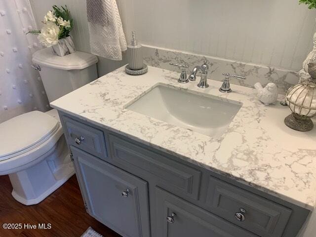 bathroom featuring vanity, toilet, and wood-type flooring