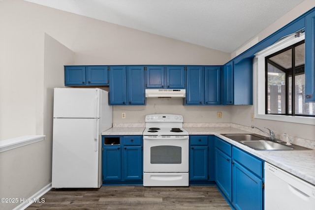 kitchen with under cabinet range hood, white appliances, blue cabinets, and a sink