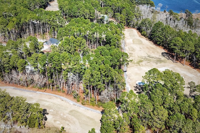 aerial view with a wooded view