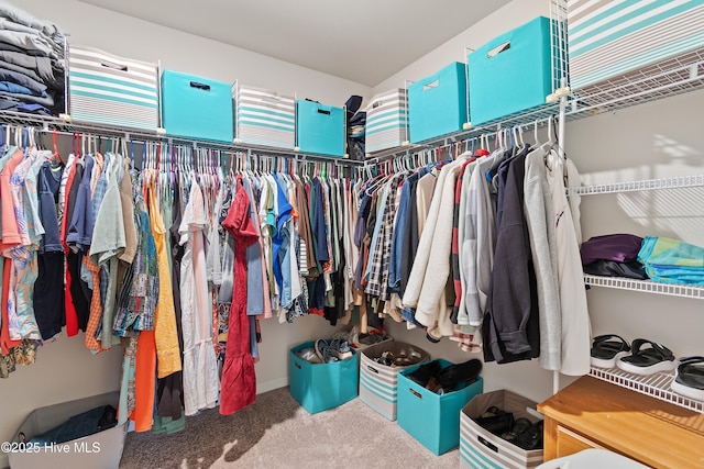 spacious closet featuring carpet flooring