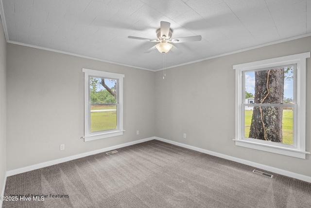 empty room with carpet, crown molding, and ceiling fan