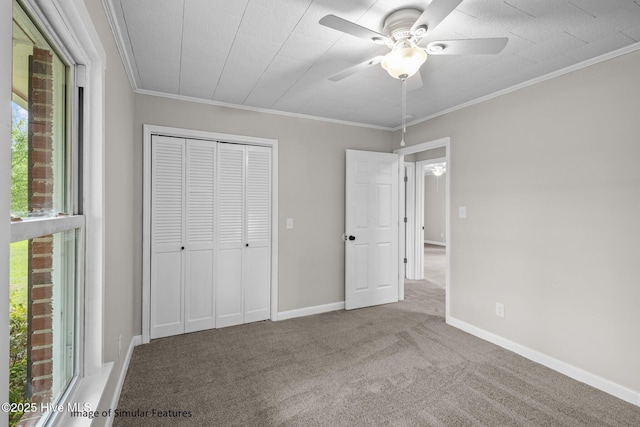 unfurnished bedroom featuring ornamental molding, carpet flooring, ceiling fan, and a closet