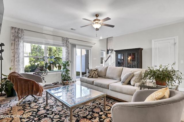 living room with crown molding and ceiling fan