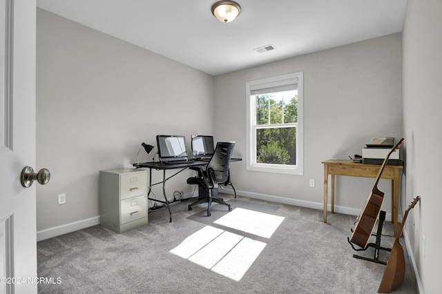 office featuring light carpet