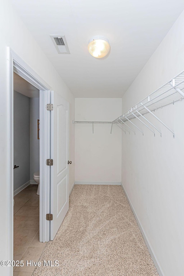 view of walk in closet