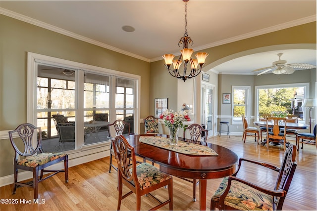 dining space featuring ceiling fan with notable chandelier, light hardwood / wood-style floors, and ornamental molding