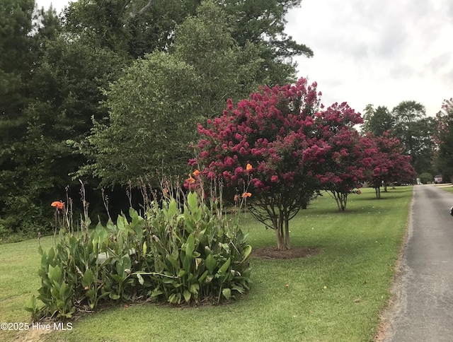 view of home's community with a lawn