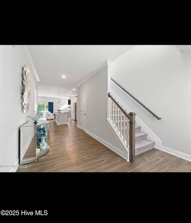 interior space featuring wood-type flooring and ornamental molding