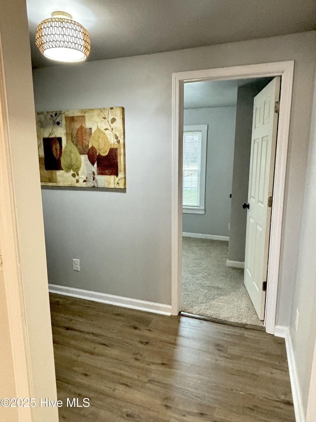 hall featuring dark hardwood / wood-style flooring