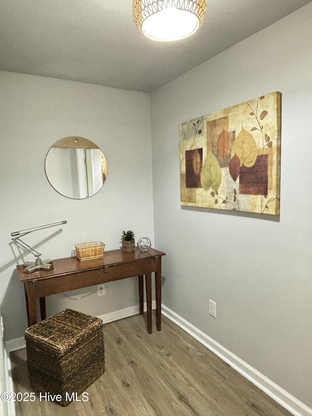 home office featuring wood-type flooring