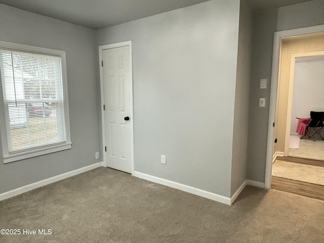 interior space with carpet flooring