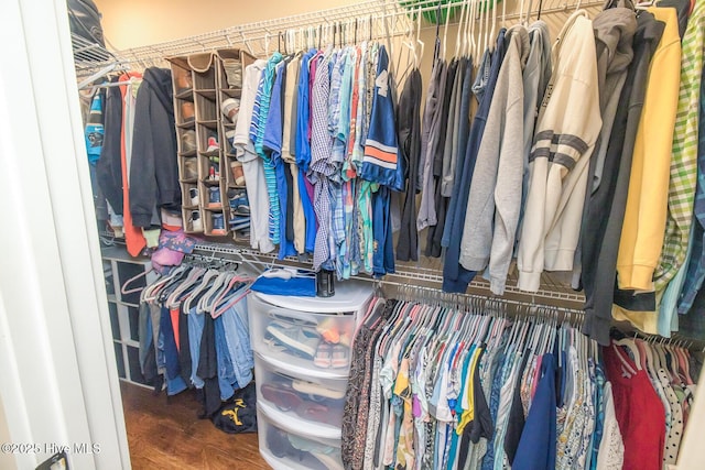 walk in closet with wood finished floors