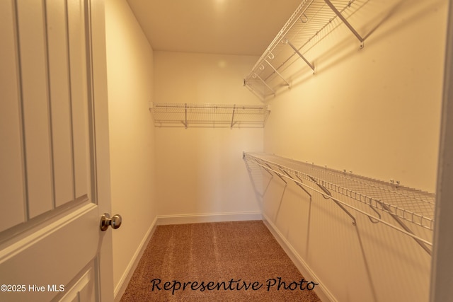 walk in closet with carpet floors