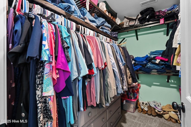 spacious closet with carpet flooring