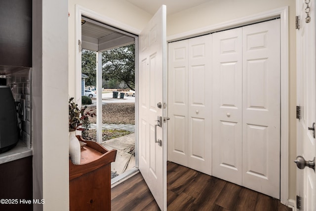 foyer with dark wood-type flooring