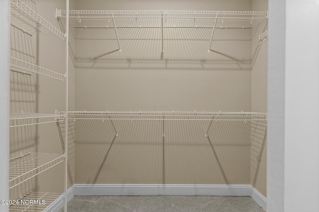 427 Candlewood Dr, Jacksonville, NC 28540 - view of walk in closet