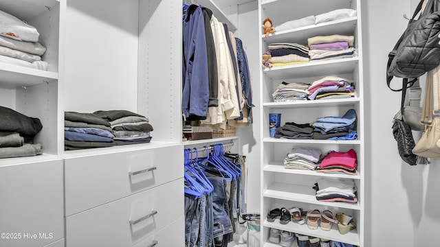 view of spacious closet