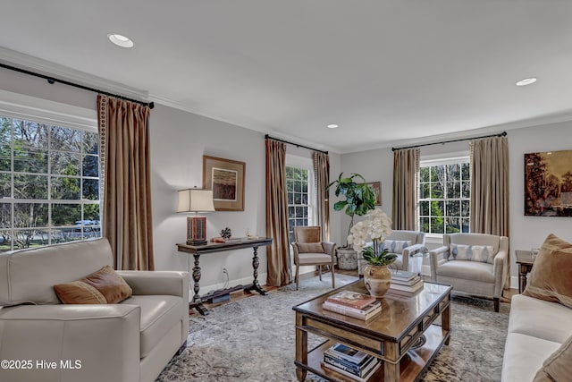 living area with a healthy amount of sunlight, baseboards, and ornamental molding