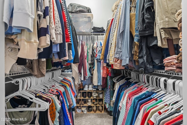 spacious closet featuring carpet flooring