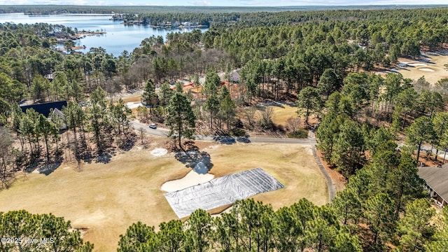 bird's eye view with a water view and a view of trees