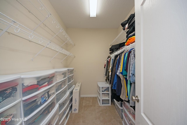 walk in closet with light colored carpet