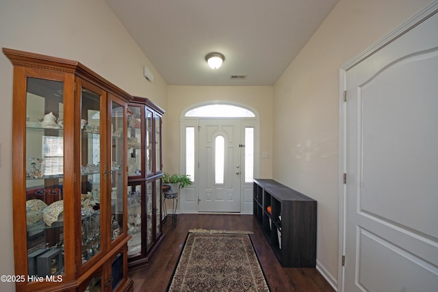 entrance foyer featuring dark wood-type flooring