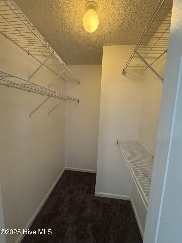 spacious closet featuring dark colored carpet