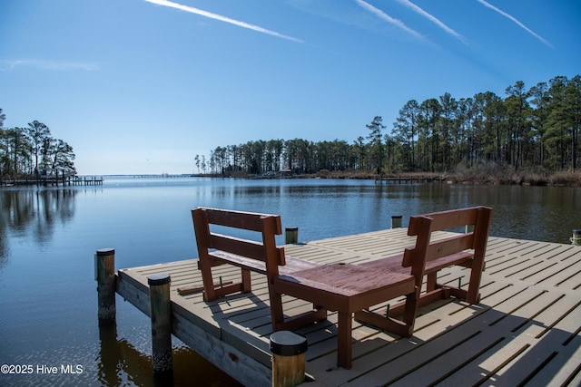 dock area featuring a water view