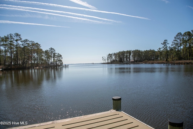 dock area featuring a water view