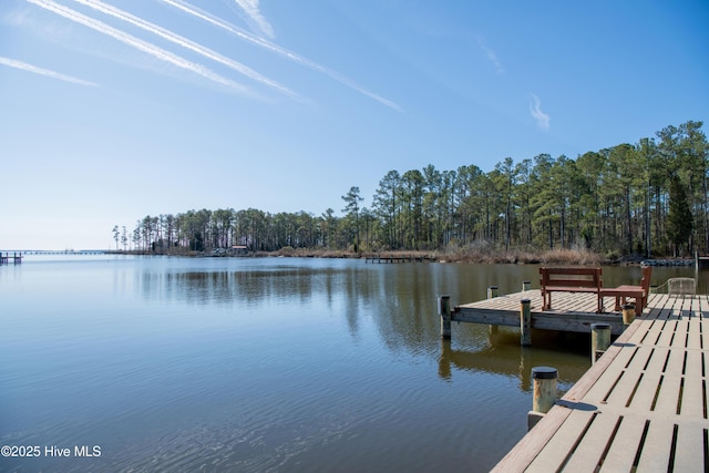 dock area with a forest view and a water view