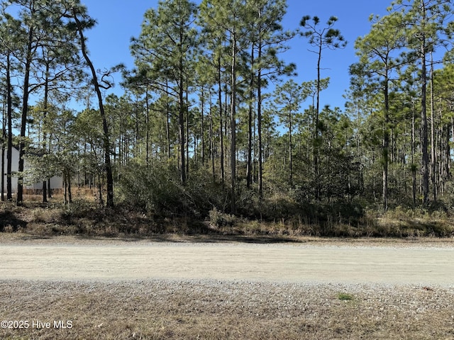 100 Bridges Rd, Southport NC, 28461 land for sale