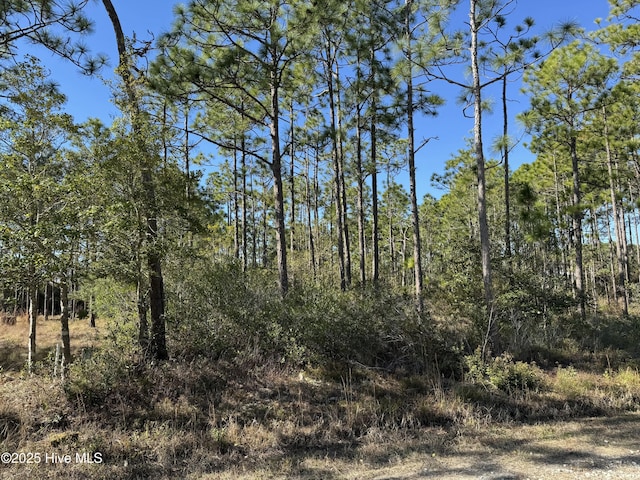 Listing photo 3 for 100 Bridges Rd, Southport NC 28461