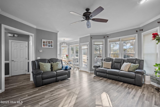 living room featuring hardwood / wood-style flooring, ornamental molding, and ceiling fan