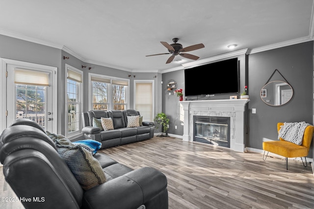 living room featuring hardwood / wood-style floors, crown molding, a wealth of natural light, and ceiling fan