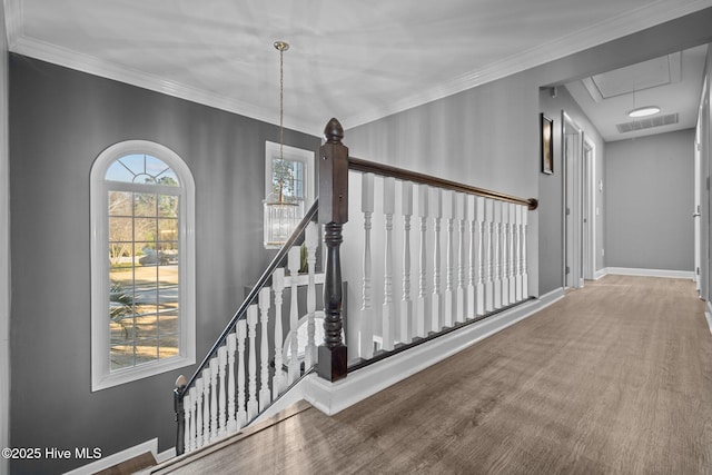 interior space with wood-type flooring and ornamental molding