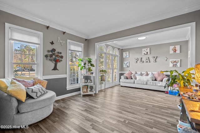 living room with crown molding, hardwood / wood-style floors, and a wealth of natural light