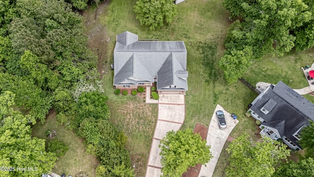 bird's eye view