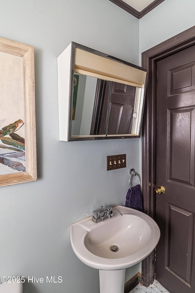 bathroom featuring sink and ornamental molding