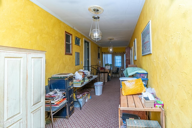 corridor with electric panel, ornamental molding, and carpet flooring