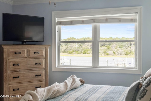 57 Craven St, Ocean Isle Beach, NC 28469 - bedroom with ornamental molding