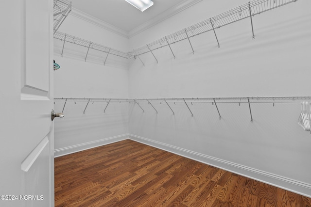 spacious closet featuring dark hardwood / wood-style flooring