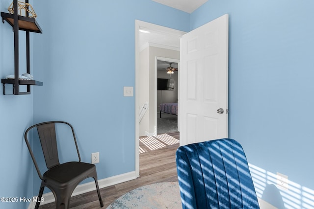 sitting room featuring wood-type flooring