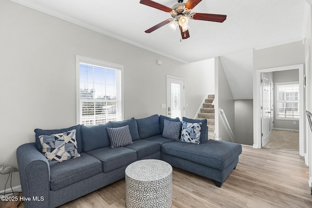 living room featuring ceiling fan, ornamental molding, and light hardwood / wood-style flooring