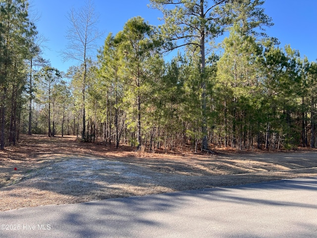 72 Shady Creek Rd Unit 48, Oriental NC, 28571 land for sale