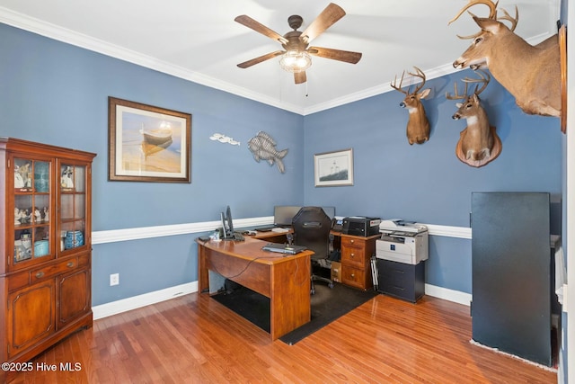 home office with hardwood / wood-style flooring, ceiling fan, and ornamental molding